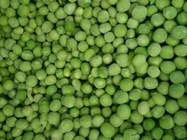 frozen pea